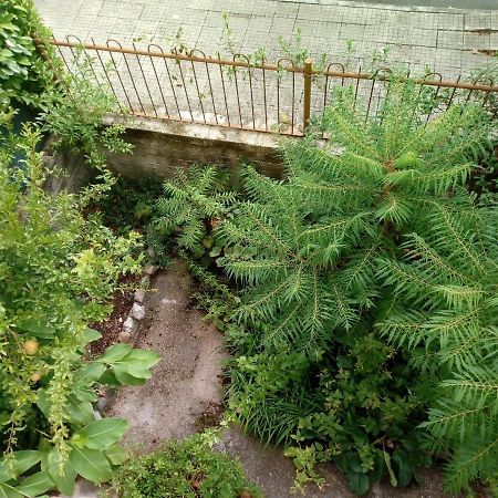 Il Cactus Bed & Breakfast San Giovanni Incarico Exterior photo