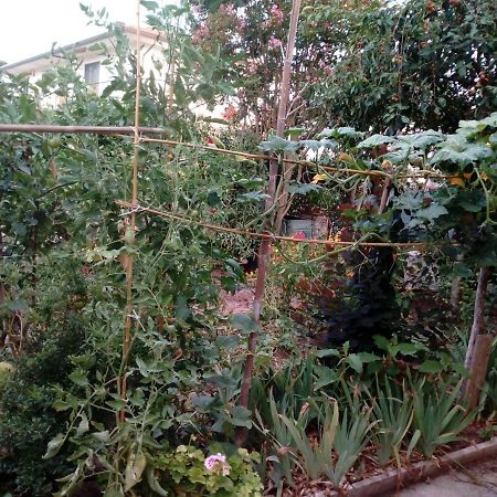 Il Cactus Bed & Breakfast San Giovanni Incarico Exterior photo