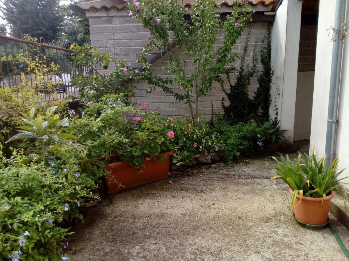 Il Cactus Bed & Breakfast San Giovanni Incarico Exterior photo