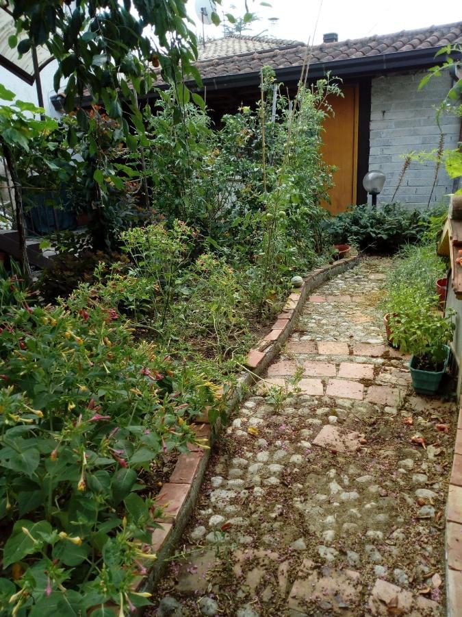 Il Cactus Bed & Breakfast San Giovanni Incarico Exterior photo