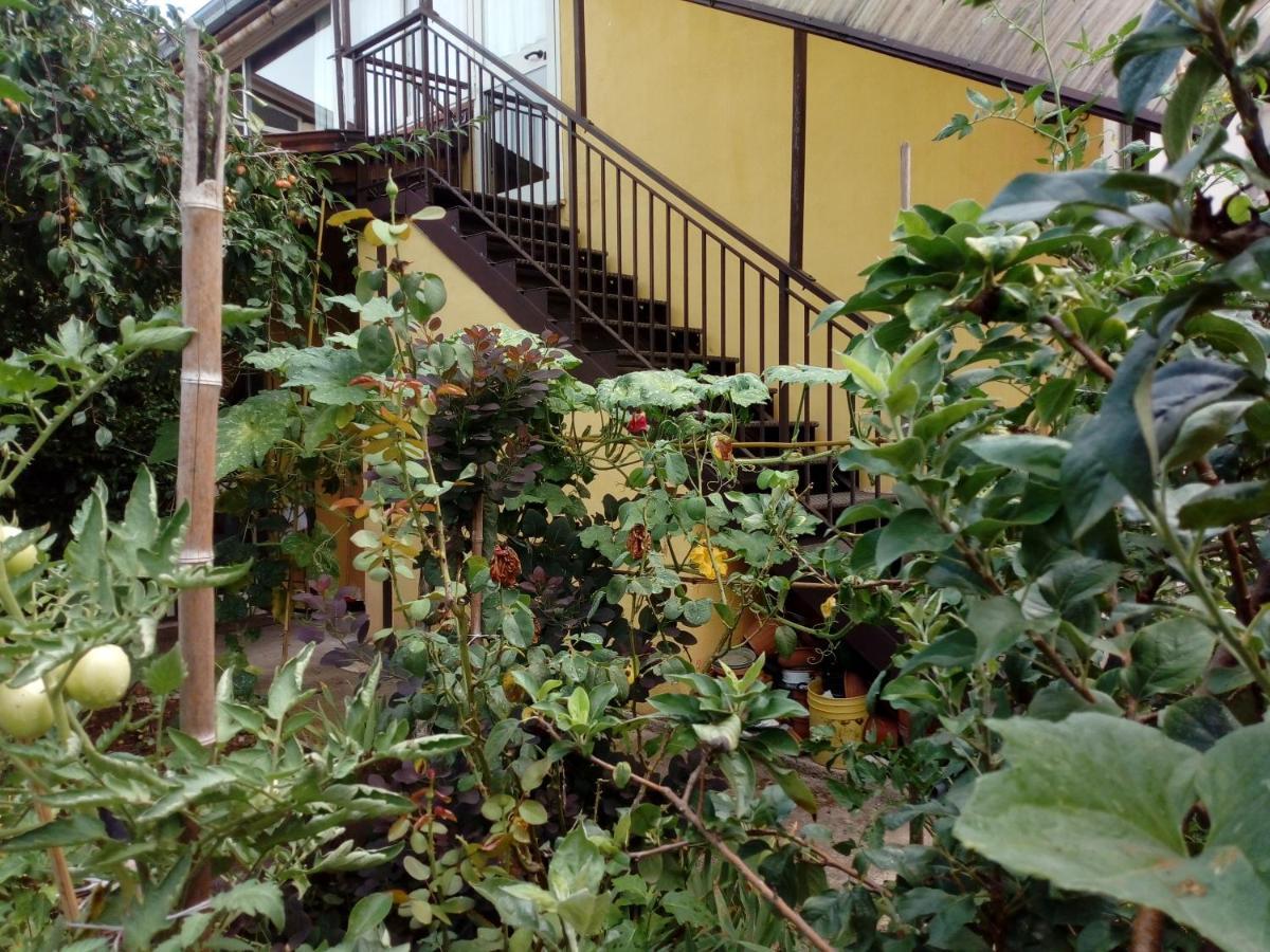 Il Cactus Bed & Breakfast San Giovanni Incarico Exterior photo